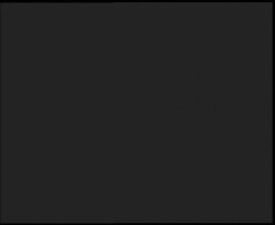 Nástup na běžecké tratě