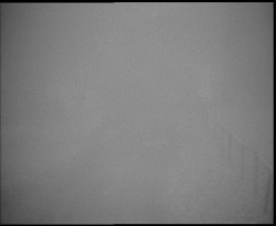 Nástup na běžecké tratě