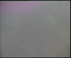 Nástup na běžecké tratě