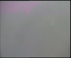 Nástup na běžecké tratě