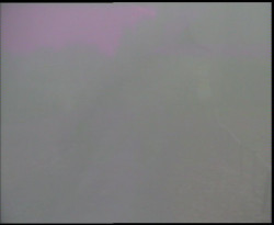 Nástup na běžecké tratě