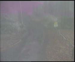 Nástup na běžecké tratě