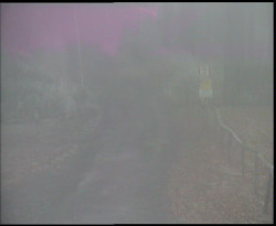 Nástup na běžecké tratě