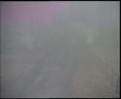 Nástup na běžecké tratě