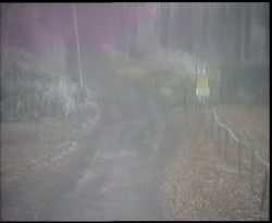 Nástup na běžecké tratě