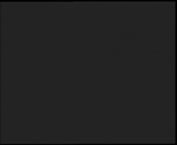 Nástup na běžecké tratě