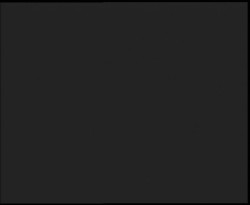 Nástup na běžecké tratě