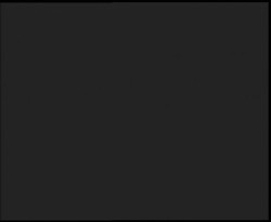 Nástup na běžecké tratě