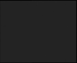 Nástup na běžecké tratě