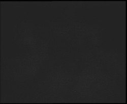 Nástup na běžecké tratě