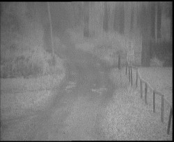 Nástup na běžecké tratě