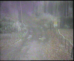 Nástup na běžecké tratě