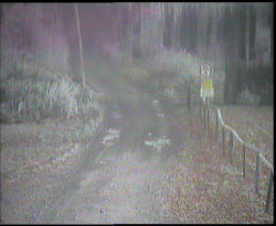 Nástup na běžecké tratě