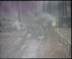 Nástup na běžecké tratě