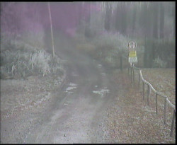 Nástup na běžecké tratě