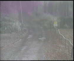 Nástup na běžecké tratě