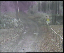 Nástup na běžecké tratě