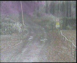 Nástup na běžecké tratě