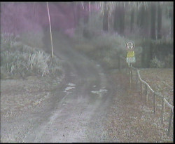 Nástup na běžecké tratě