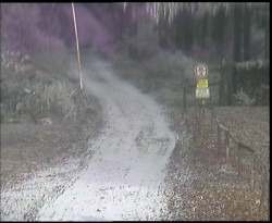 Nástup na běžecké tratě