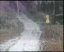 Nástup na běžecké tratě