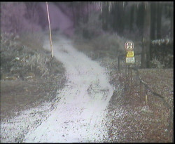 Nástup na běžecké tratě