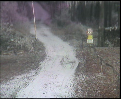 Nástup na běžecké tratě