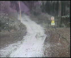 Nástup na běžecké tratě