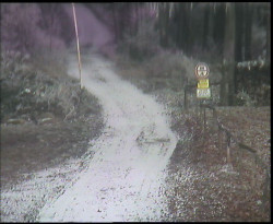 Nástup na běžecké tratě