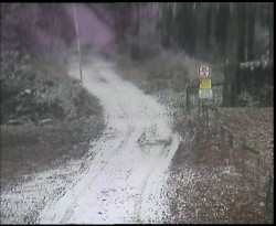 Nástup na běžecké tratě