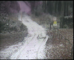 Nástup na běžecké tratě