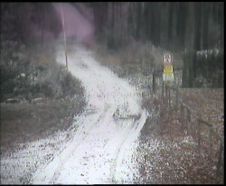 Nástup na běžecké tratě