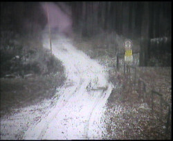 Nástup na běžecké tratě