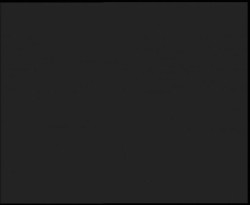 Nástup na běžecké tratě