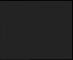 Nástup na běžecké tratě