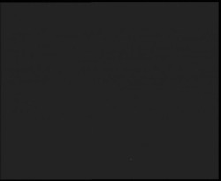 Nástup na běžecké tratě