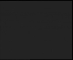 Nástup na běžecké tratě