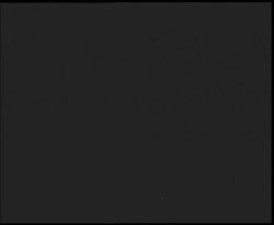 Nástup na běžecké tratě