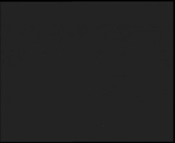 Nástup na běžecké tratě