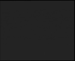 Nástup na běžecké tratě