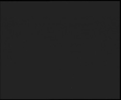 Nástup na běžecké tratě