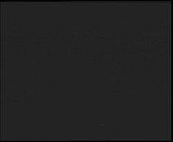 Nástup na běžecké tratě