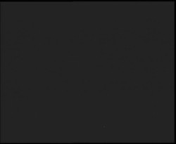 Nástup na běžecké tratě