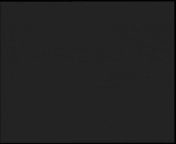 Nástup na běžecké tratě