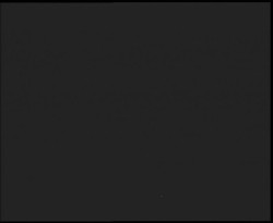 Nástup na běžecké tratě