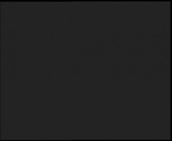 Nástup na běžecké tratě