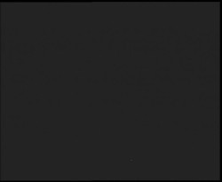 Nástup na běžecké tratě