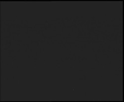 Nástup na běžecké tratě