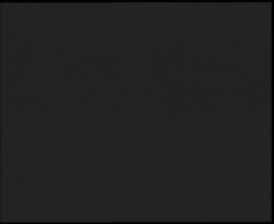 Nástup na běžecké tratě