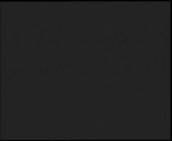 Nástup na běžecké tratě